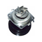 Pompa idraulica per ricambi auto certificata ISO 46444355 per Fiat LANCIA